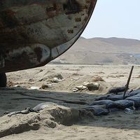 Jane Matlock's Photo