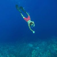 Ahmad  Mohey的照片