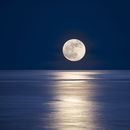 Evening talk under the moonlight's picture