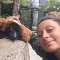 Lauralie Nelzin的照片