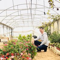 Ahmad Shaheen's Photo