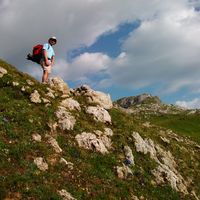 Louis Peyron's Photo