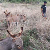 Photos de Alessandro Secchi