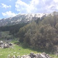 recep çalışkan's Photo