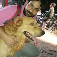 hisham sherif's Photo