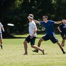 Social Frisbee @ Tenshiba Park's picture