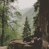 Фотографии пользователя Nihal Mohammed