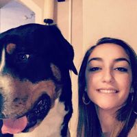 laura vieira的照片