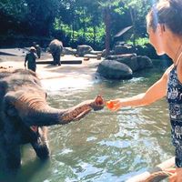 Rosaluna Gavagna的照片