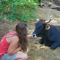 Laura Wesely's Photo