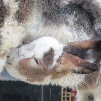 Céline Coin的照片