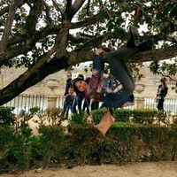 Damaris Espinosa的照片