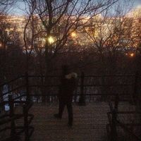 Mohamed El Shennawy's Photo