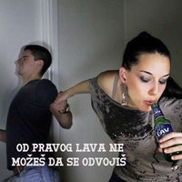 Lazar Nikolic's Photo