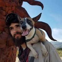 Matt Williams的照片