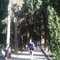 Krzysztof Torczyński的照片