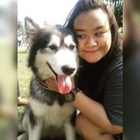 Curly Pororo的照片