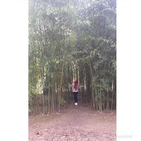 Rania Altamimi的照片