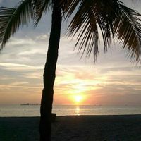 Daniel Rizzo's Photo