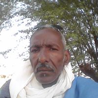 AMAR CHEIKH的照片