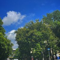 Trang Thuỳ's Photo