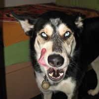 emily newman's Photo