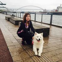 Suttinee Utchin的照片