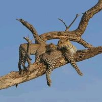 Minayewu Mekonnen's Photo