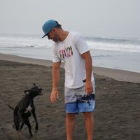 Фотографии пользователя Bruno Baiao