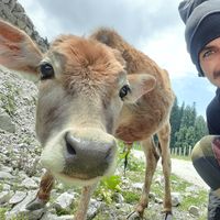 Photos de Pascal Schi