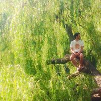 Hernan Levy的照片