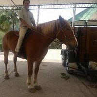 Fredy Muñoz's Photo