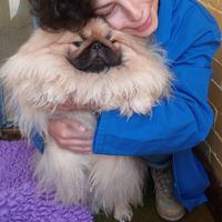 Morena Ferraro's Photo