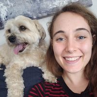 Фотографии пользователя Sarah Witzig