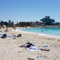 Mohamed Elnashar's Photo