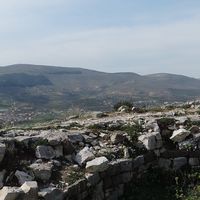 Matilda Luli的照片