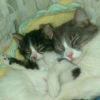 Lindascameron AMayam's Photo