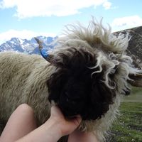 Fotos de Mirjam Fleischer