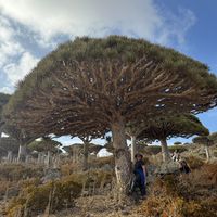 LukTarn Salila's Photo