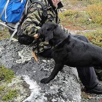 John Nilsson's Photo