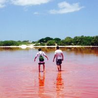 Javier Arriaga的照片