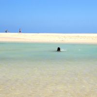 Renata Turkes的照片