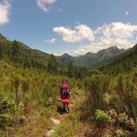 Photos de Murray Hobson