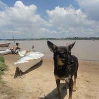 Zdjęcia użytkownika Gustavo Yacono