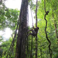 Eli Hungerford's Photo