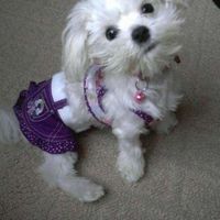 Andrea Andre's Photo