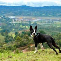 Gabriel Perez的照片