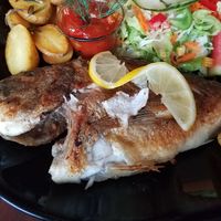 Jaime Carmichael's Photo