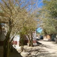 kristobal garrido的照片