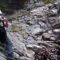 Álvaro  Sakae Fukumaru's Photo